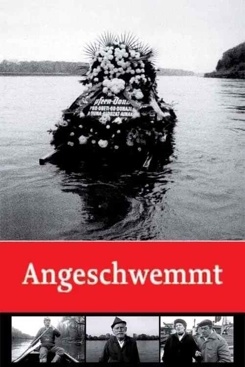Angeschwemmt poster