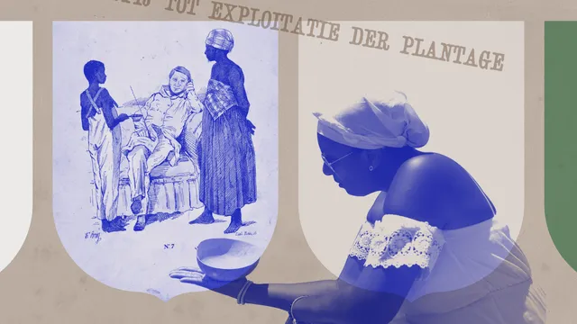 AFLEVERINGplantage7NIEUW