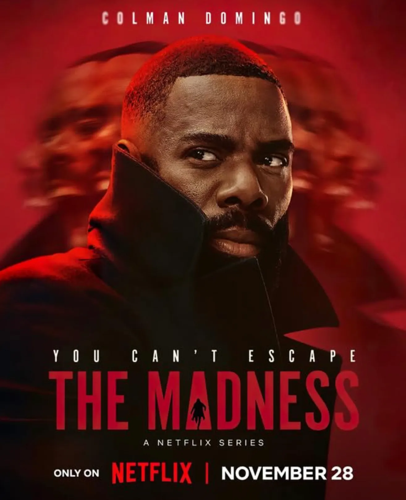 The Madness poster