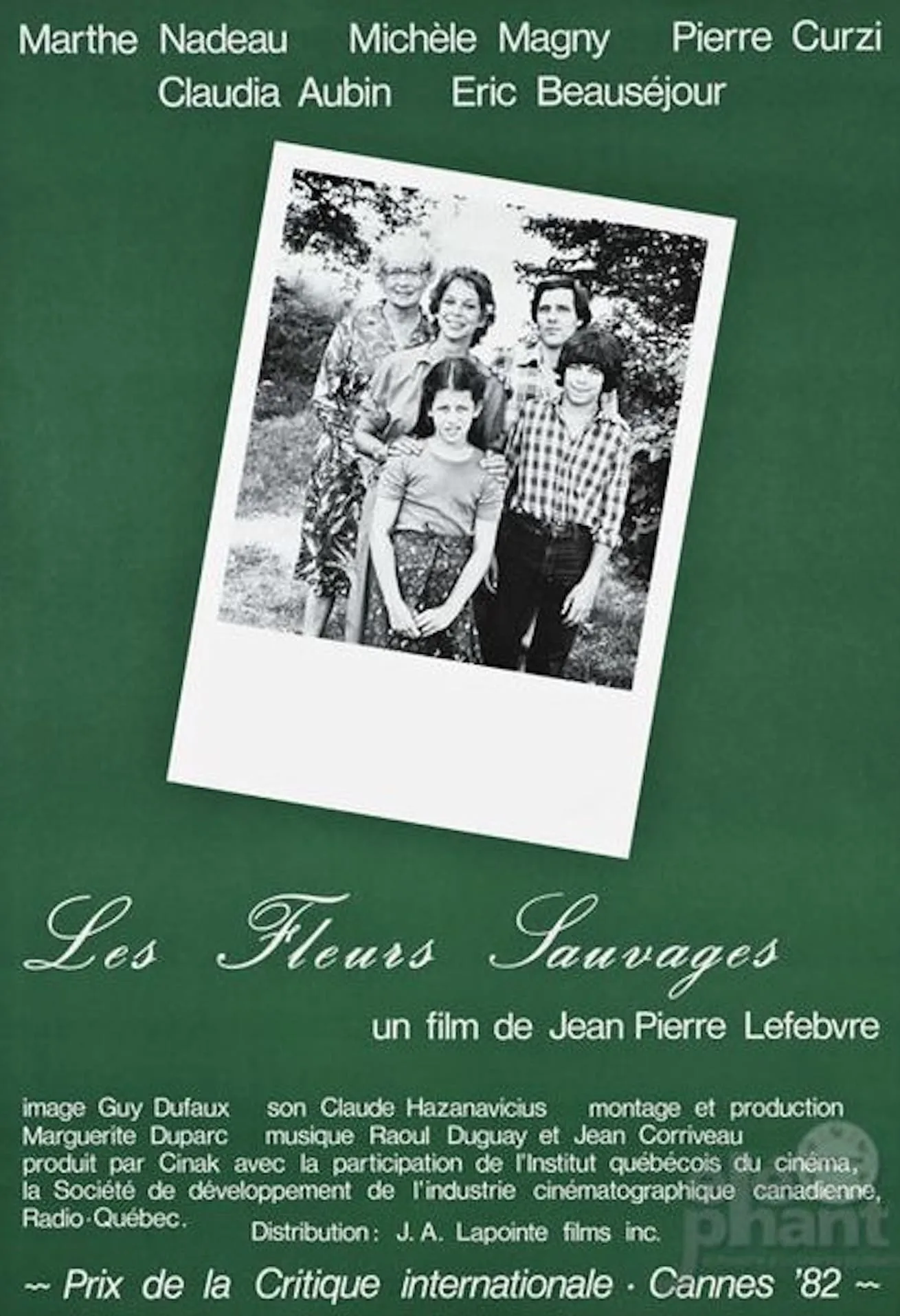Les Fleurs sauvages poster
