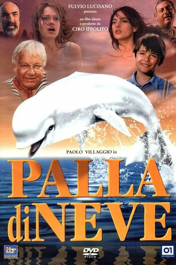 Palla di neve poster
