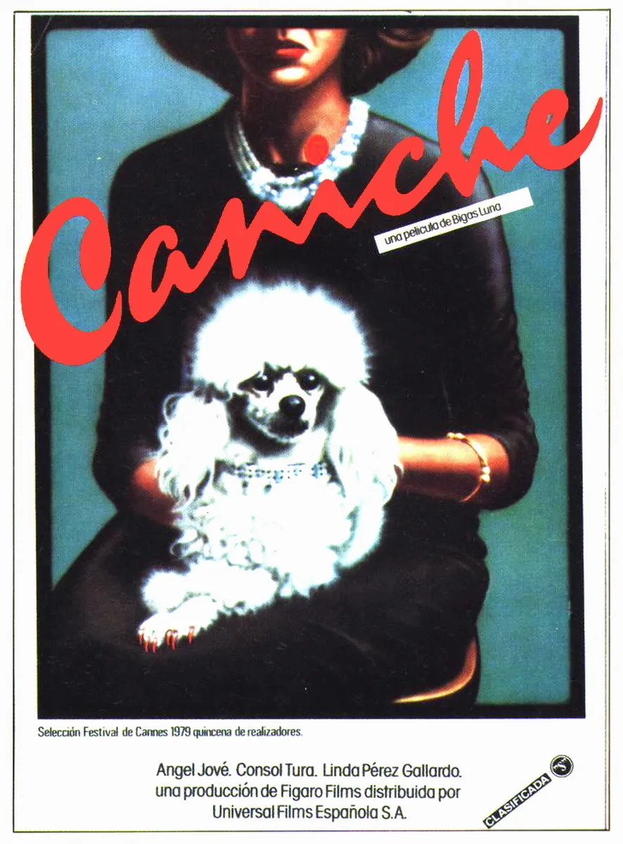Caniche poster