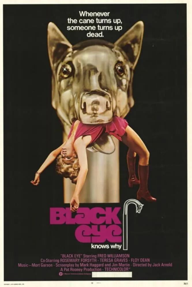 Black Eye poster