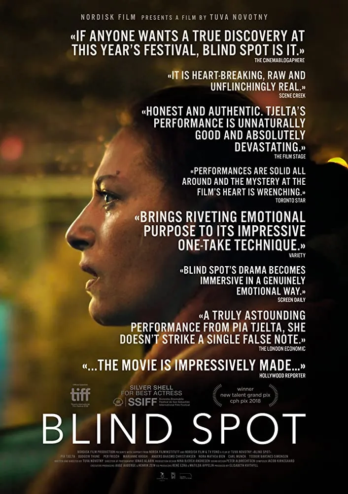 Blind Spot poster