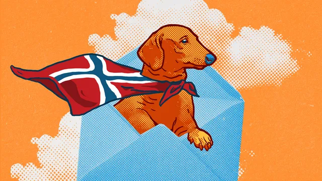 Mijn lieve hondje, Achterwerk