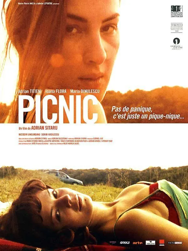 Picnic poster