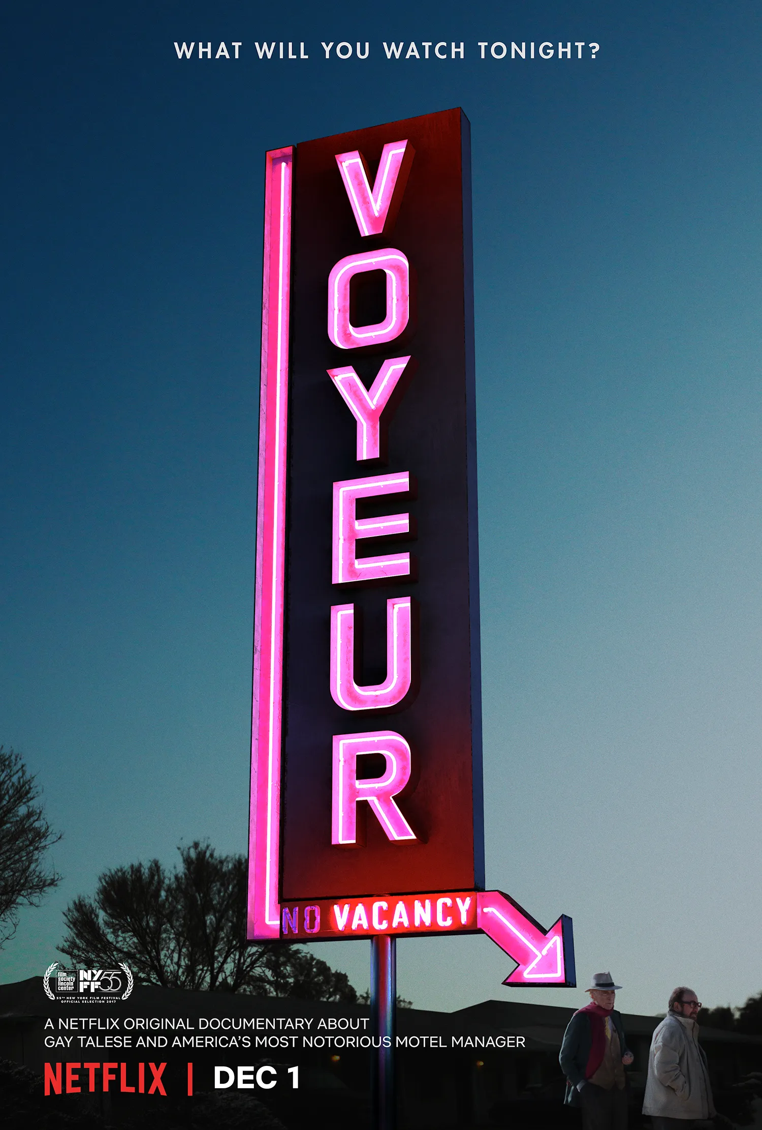 Voyeur poster