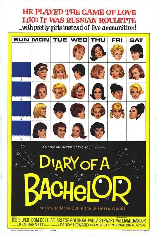 Diary of a Bachelor poster