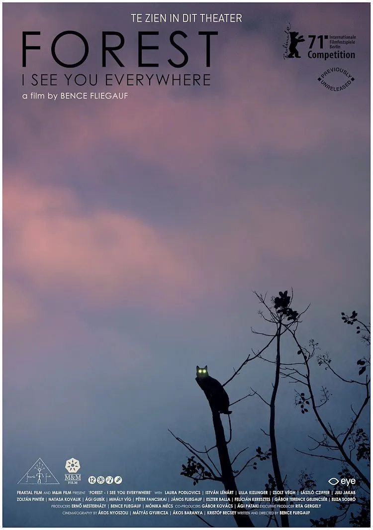 Forest - I See You Everywhere poster