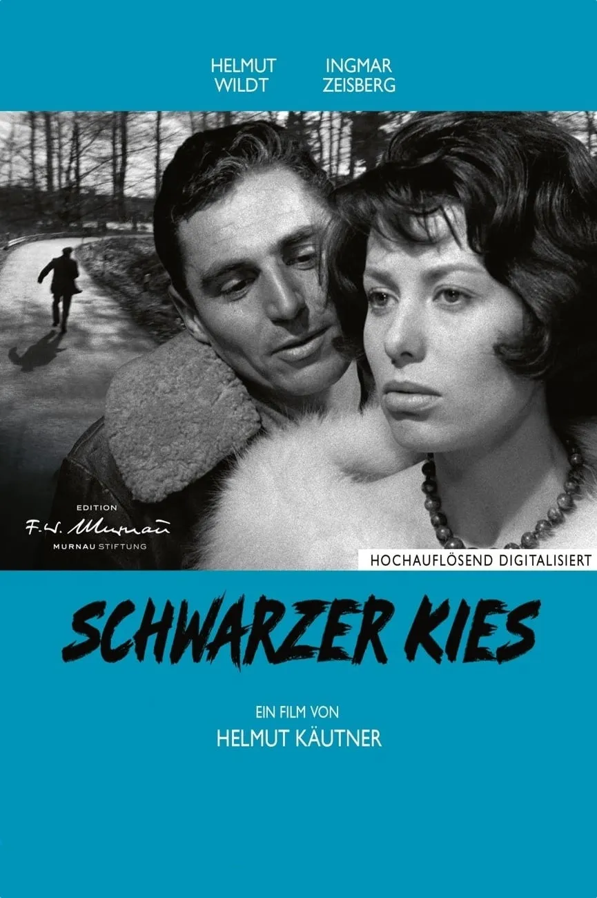 Schwarzer Kies poster