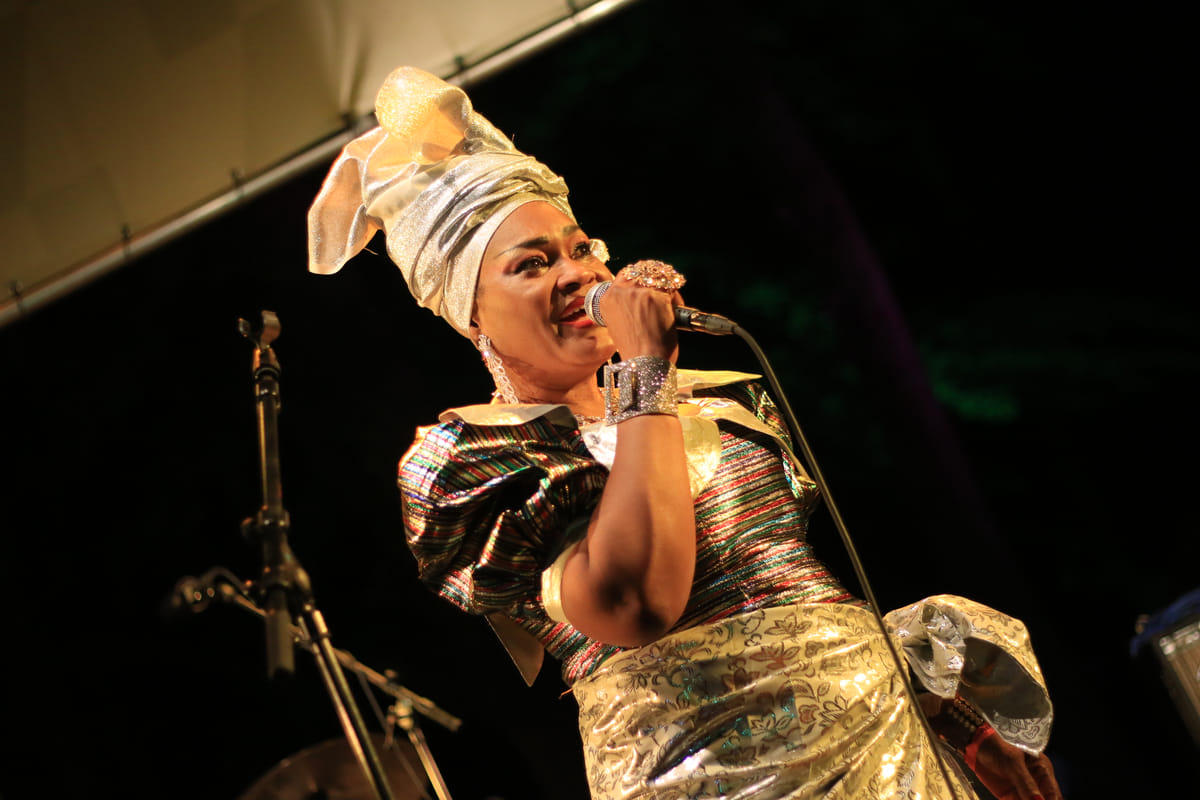 Vrije Geluiden op Afrika Festival