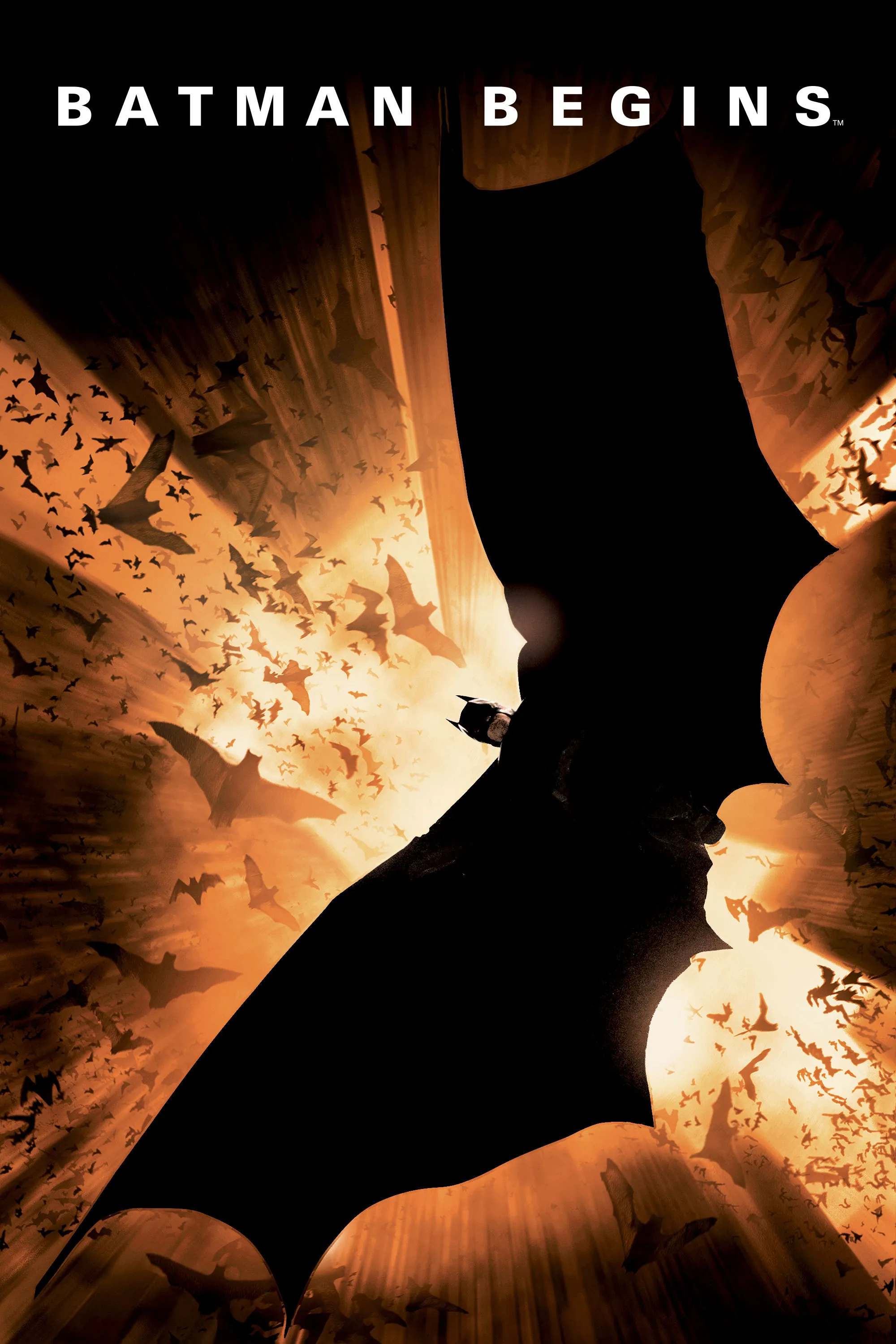 Batman Begins poster