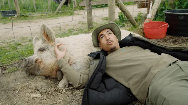 Wildebras (een man) die samen met een varken ligt te chillen