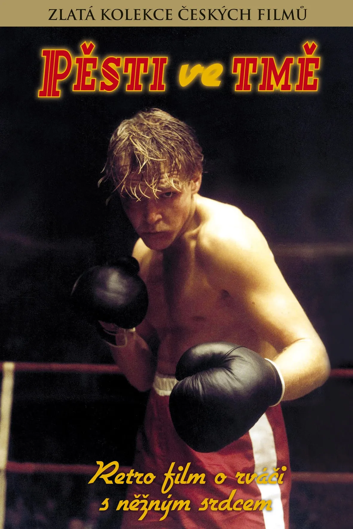 Pěsti ve tmě poster