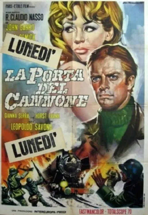 Porta del cannone poster