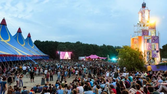 Down the Rabbit Hole 2015 - Patti Smith publiek buiten de tent