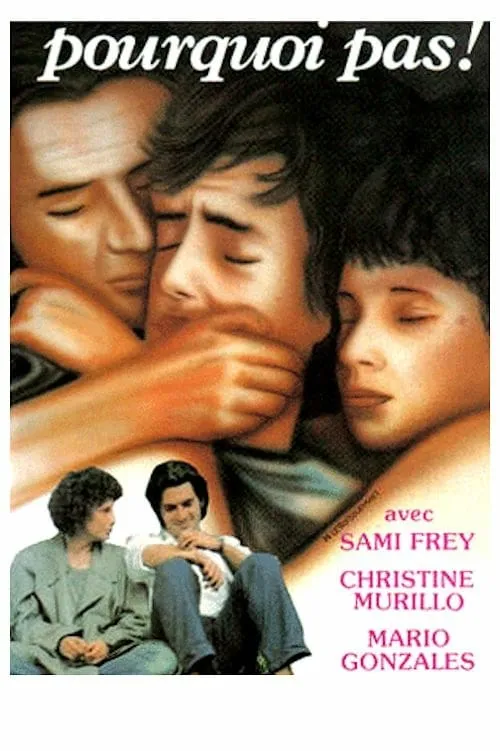 Pourquoi pas! poster