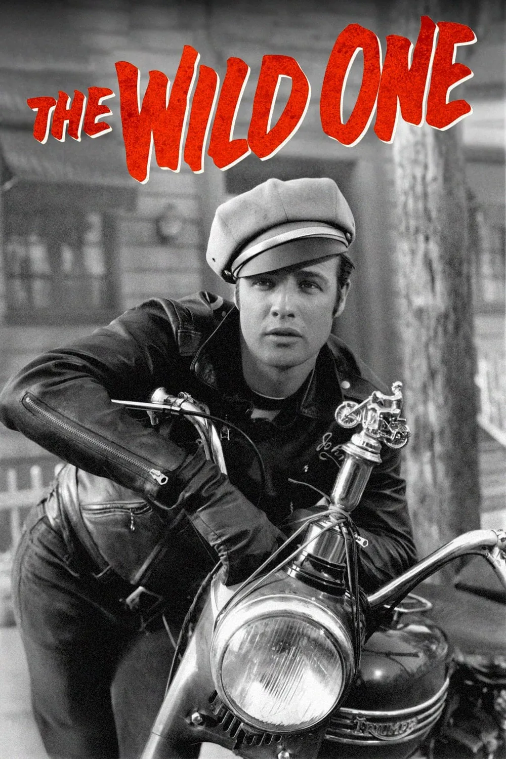 The Wild One poster