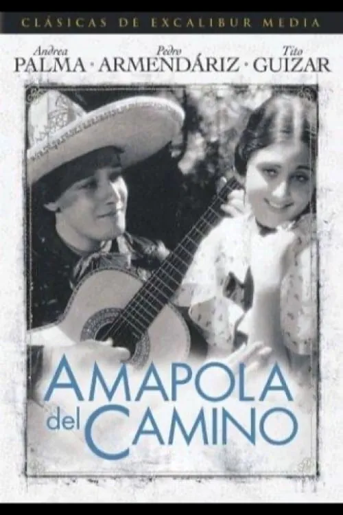 Amapola del camino poster