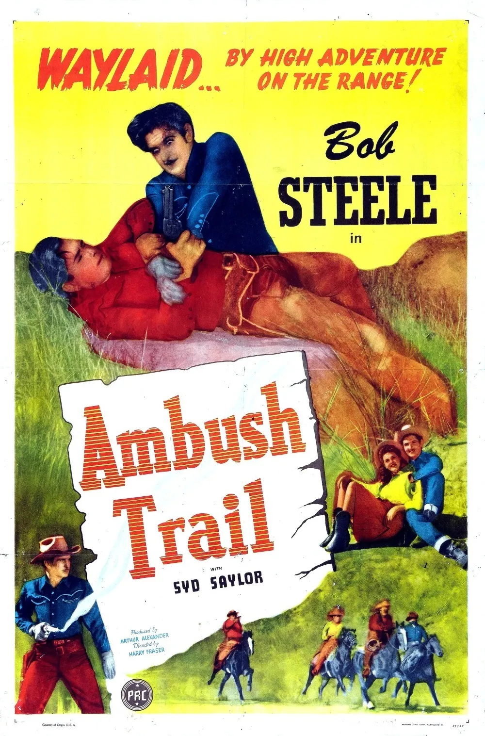Ambush Trail poster