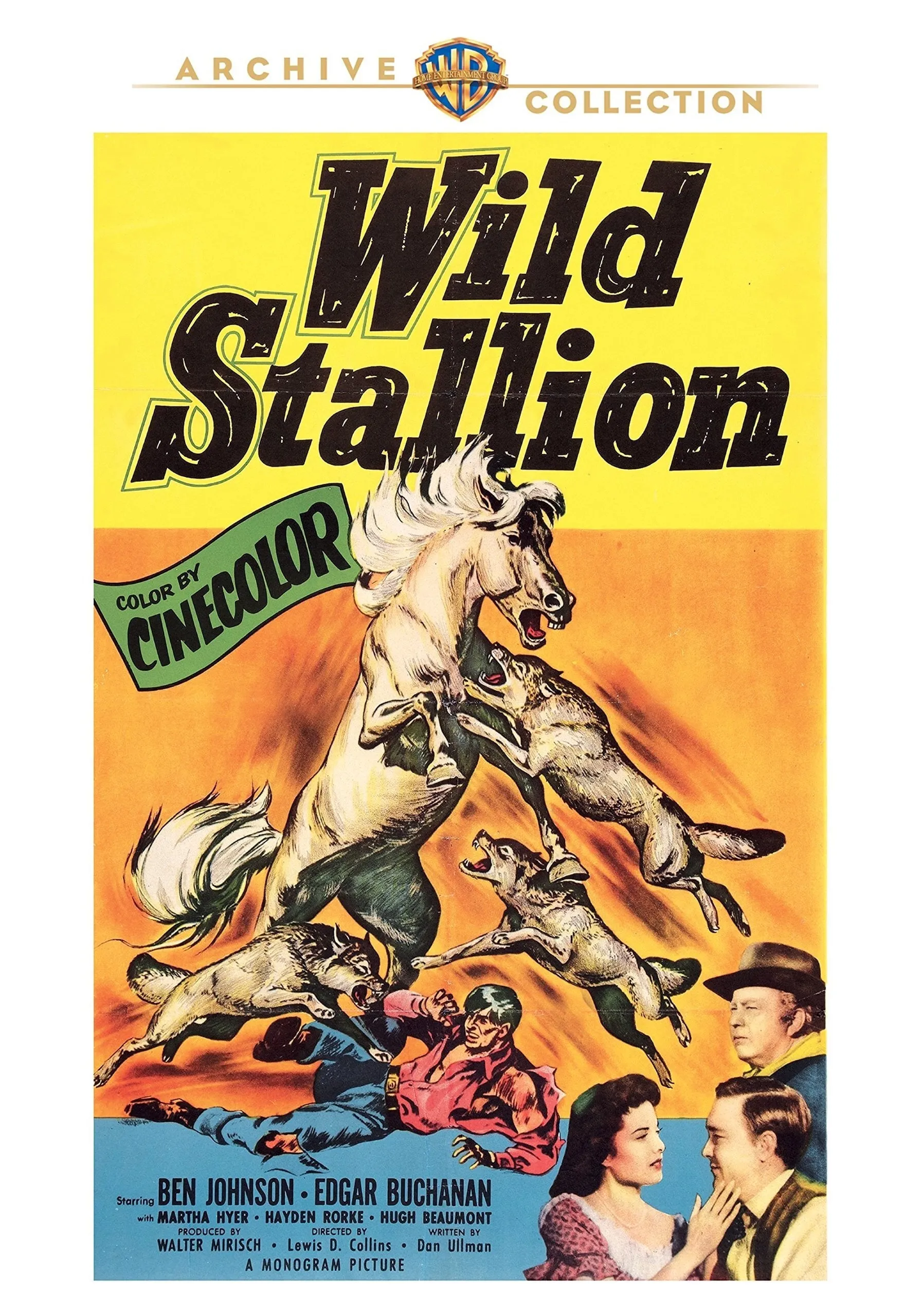 Wild Stallion poster