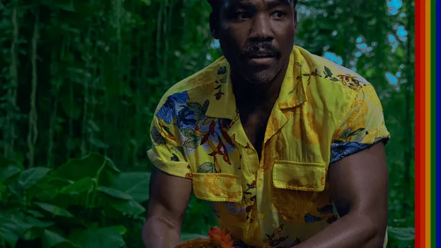 Cover van 2024 album Childish Gambino.