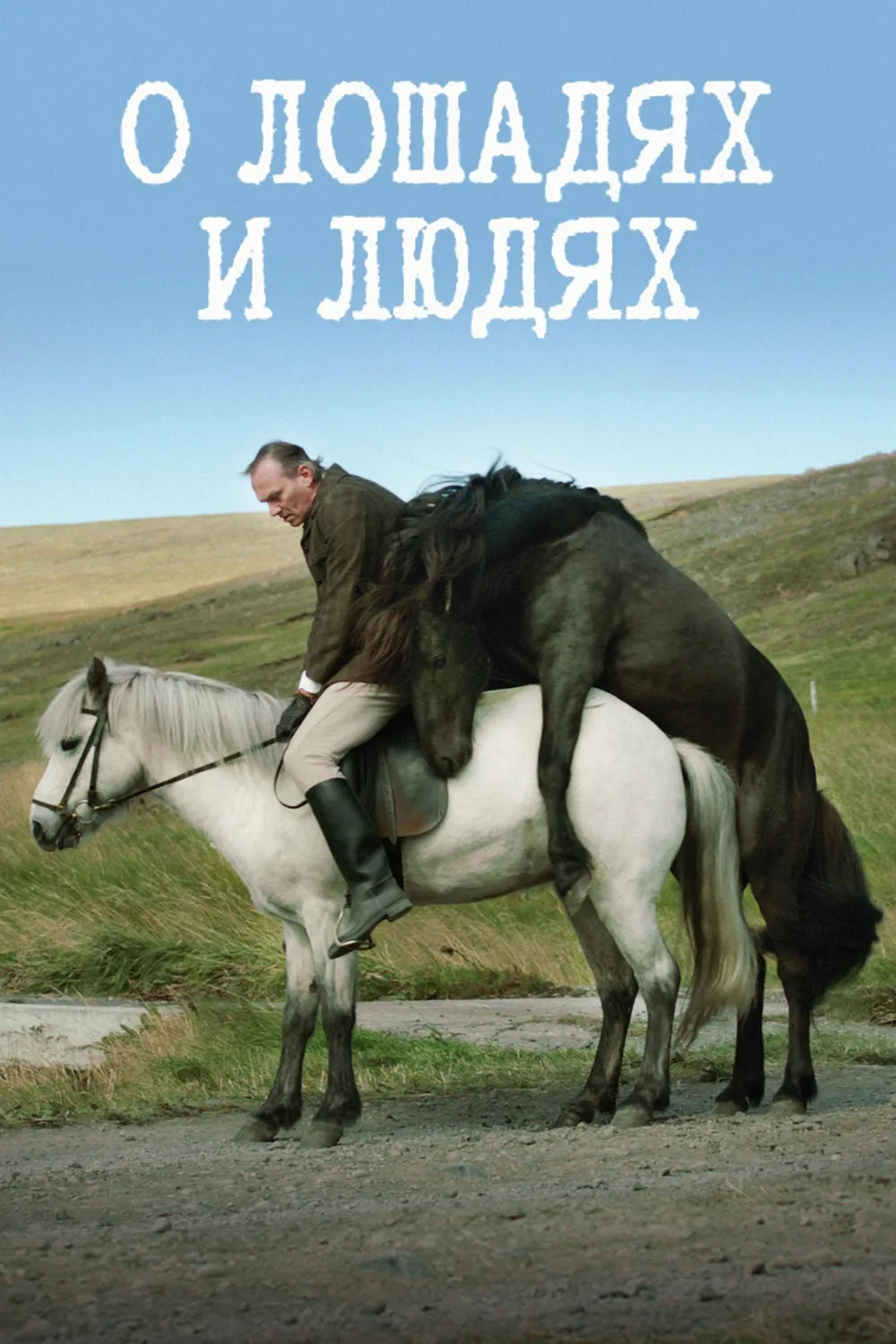 Of Horses and Men poster
