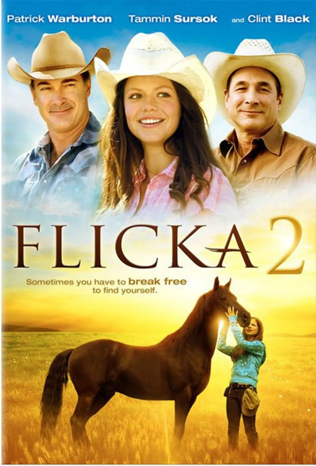 Flicka 2 poster