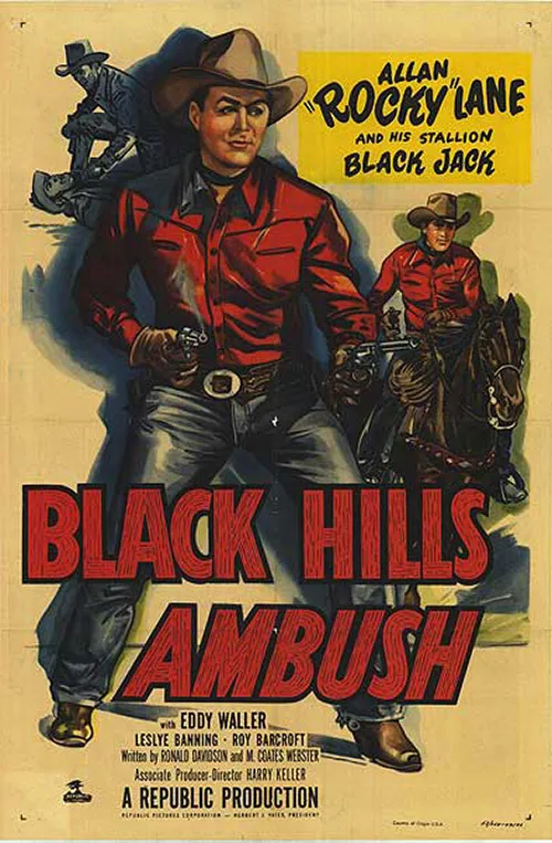 Black Hills Ambush poster