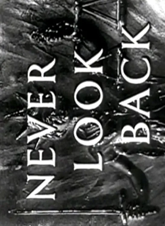 Never Look Back poster