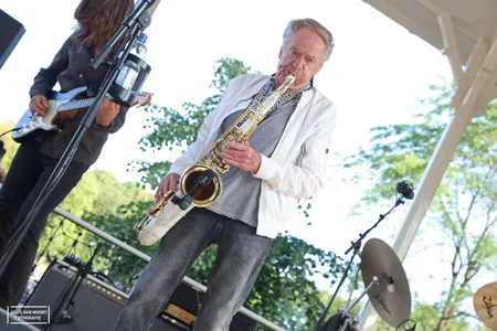 Hans Dulfer