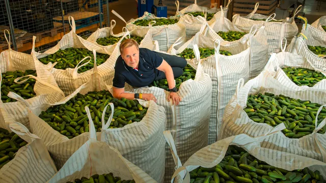 Oos Kesbeke is de directeur Van Kesbeke augurken en tafelzuur. Zijn bedrijf is gevestigd in Amsterdam. Momenteel is er een docusoap op tv, genaamd De Augurkenkoning.



ANP / Hollandse Hoogte / Clemens Rikken