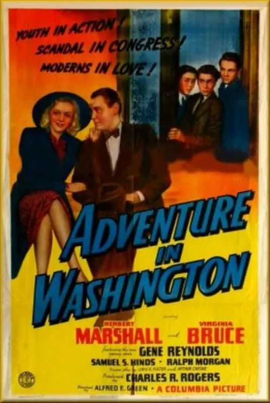 Adventure in Washington poster