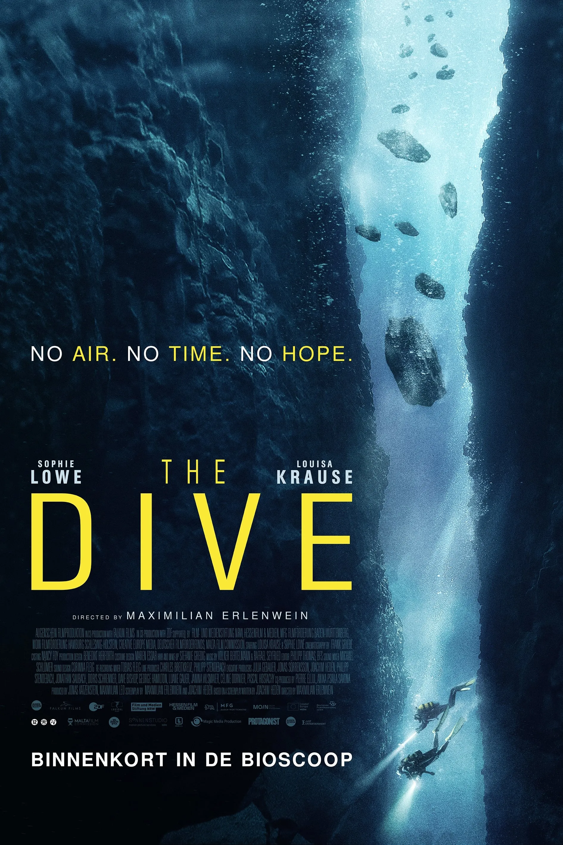 The Dive poster