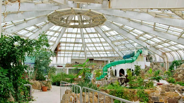 tropicana