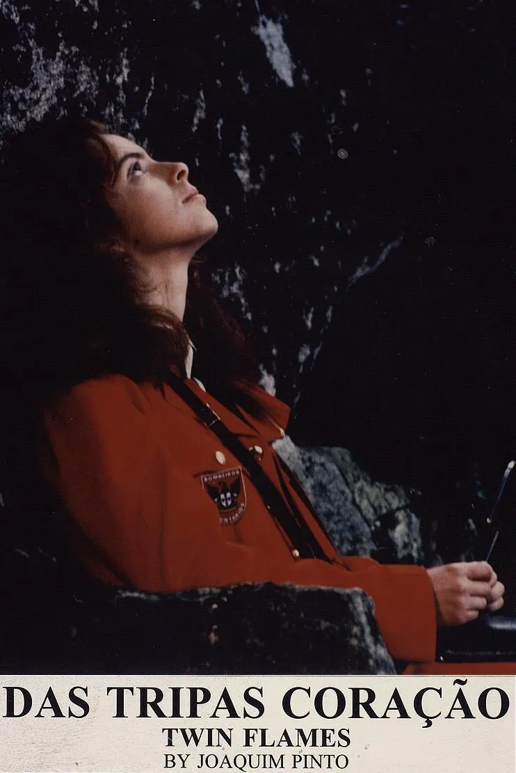 Os quatro elementos III: O fogo - Das tripas coração poster