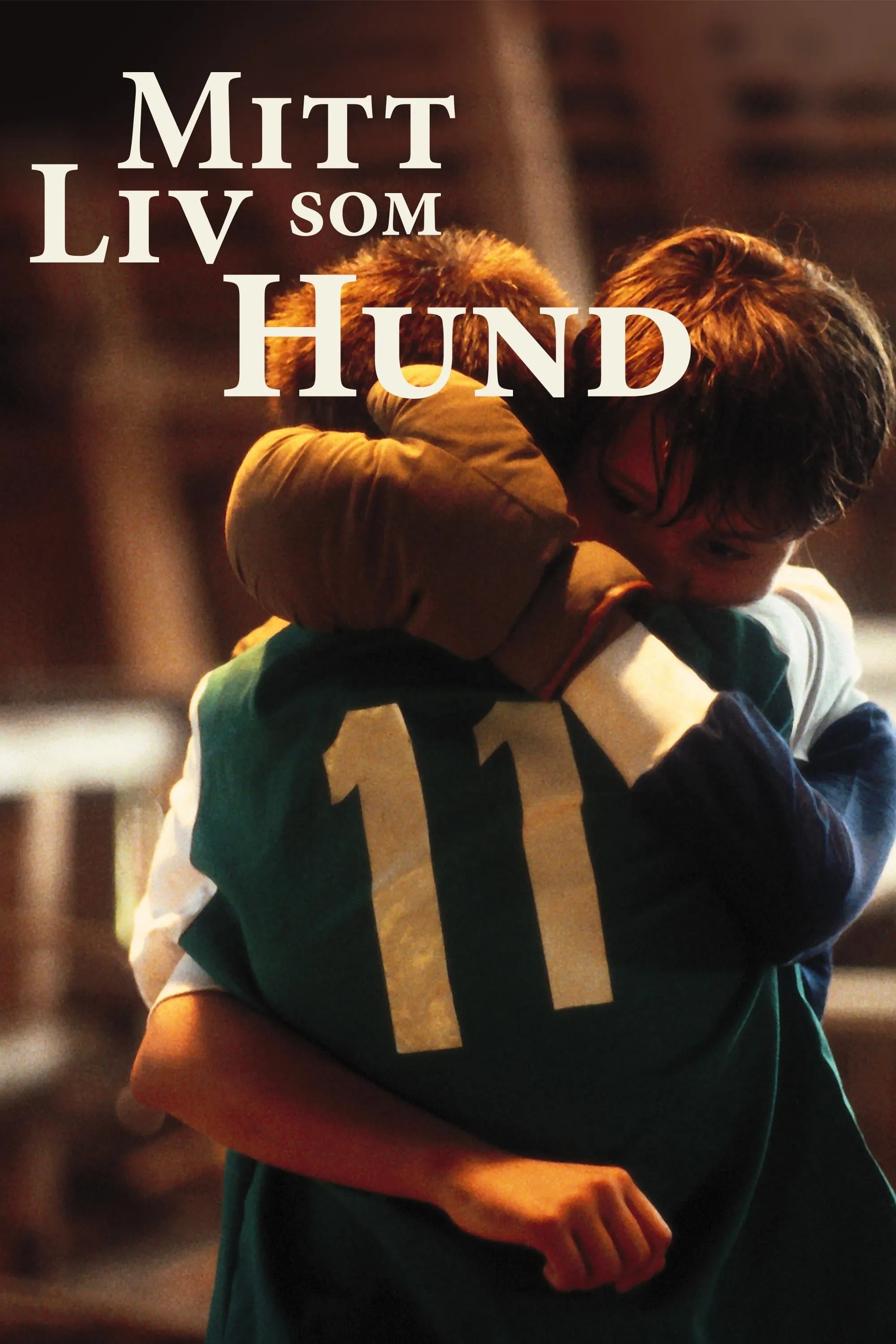 Mijn leven als hond poster