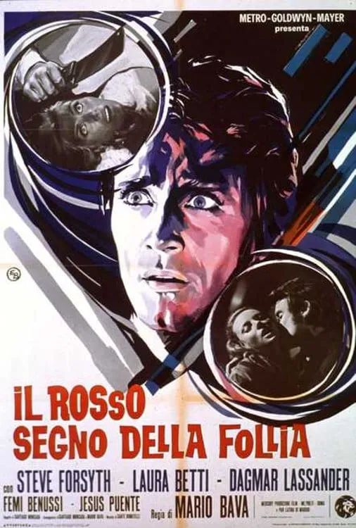 Il rosso segno della follia poster