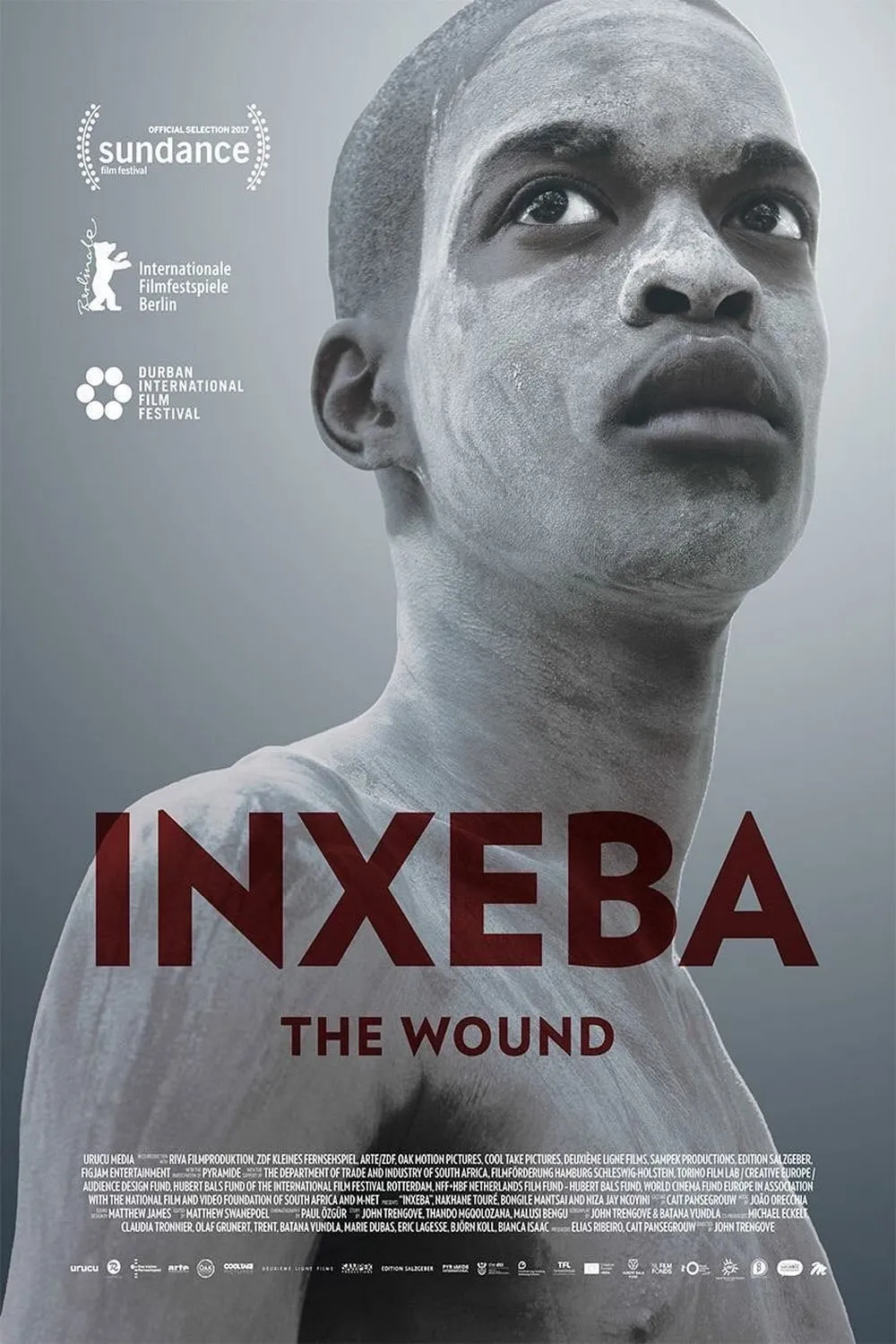 The Wound poster