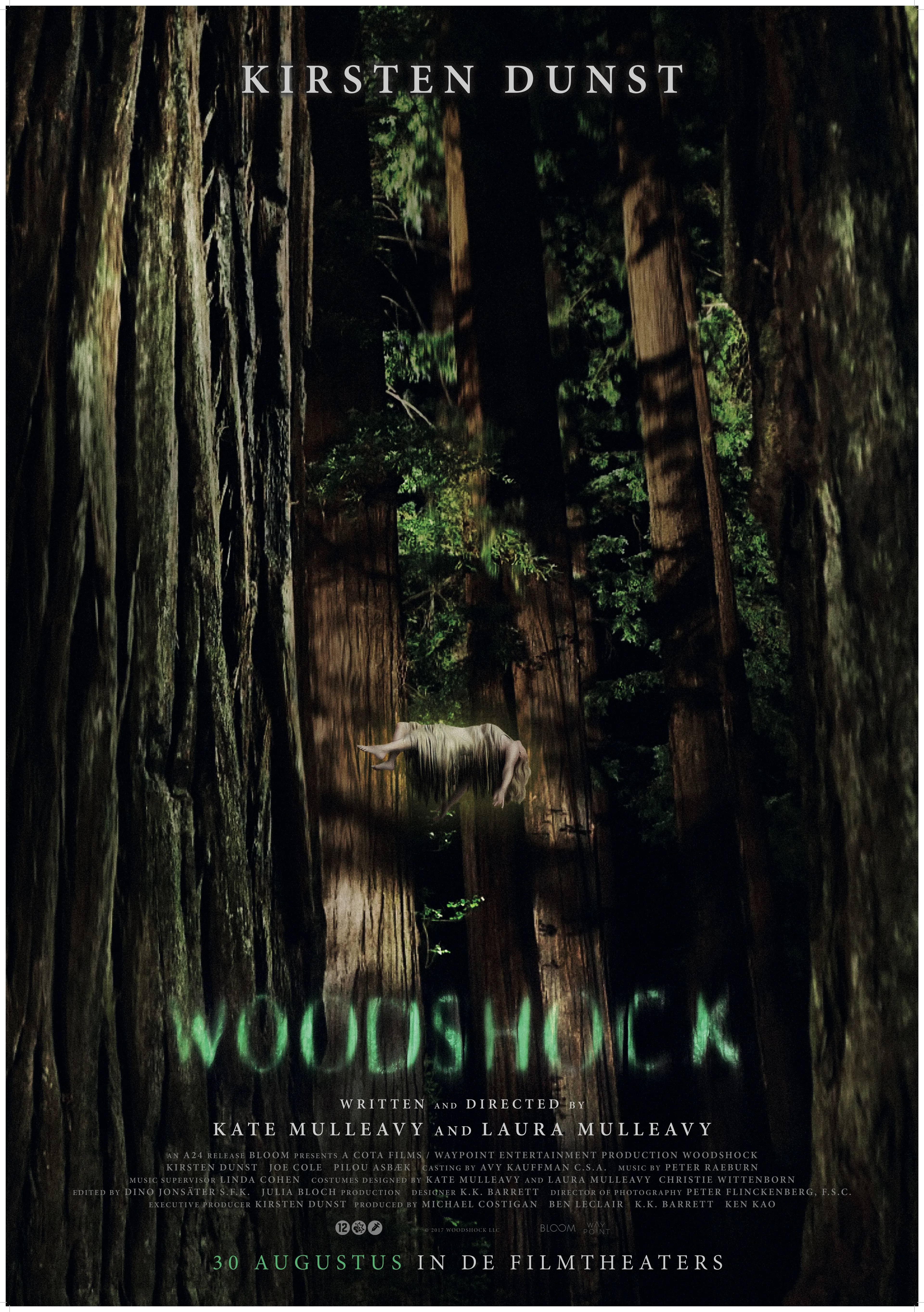 Woodshock poster
