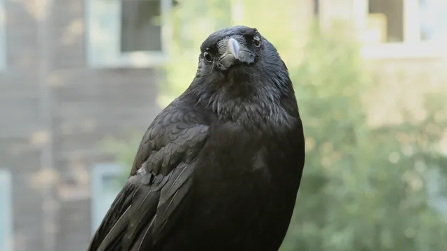 Reis door onze wereld