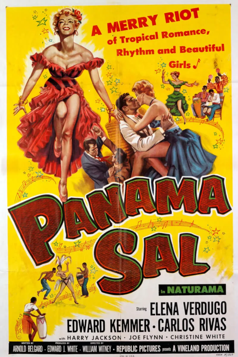 Panama Sal poster