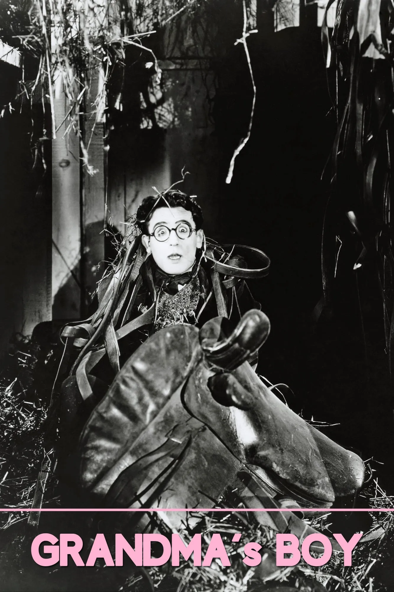 Grandma's Boy poster