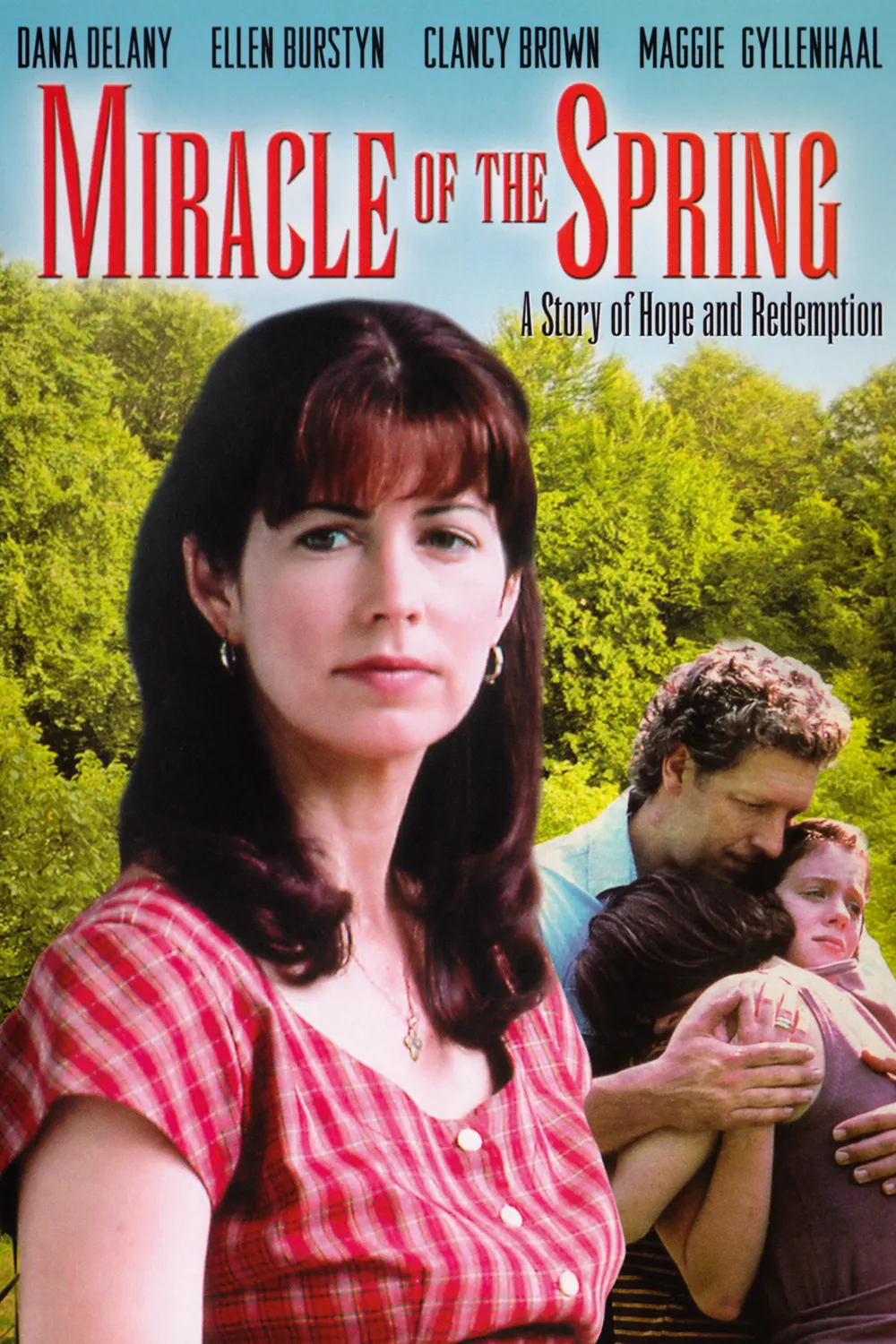 The Patron Saint Of Liars poster