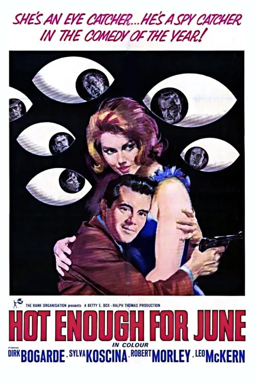 Hot Enough for June poster