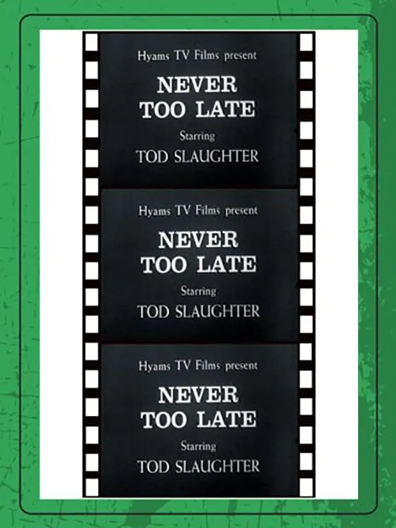 It's Never Too Late To Mend poster