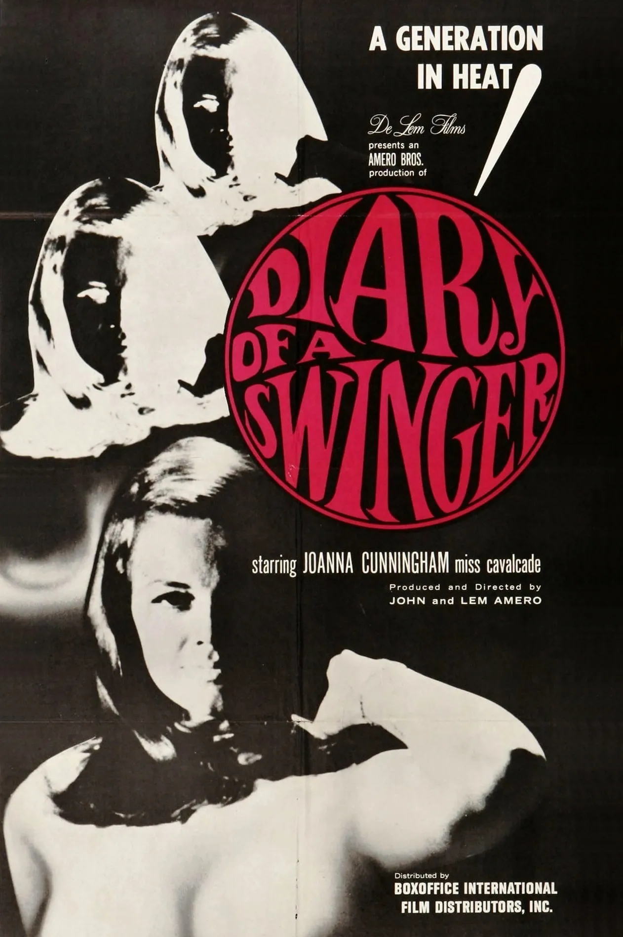 Diary of a swinger poster