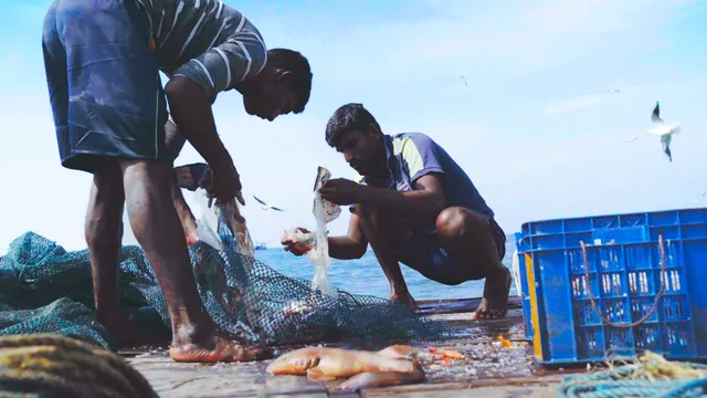 Rakesh aan het vissen