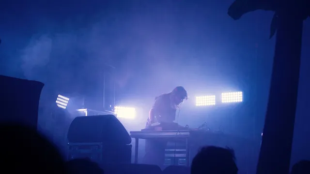 Palmbomen II op Best Kept Secret 2016