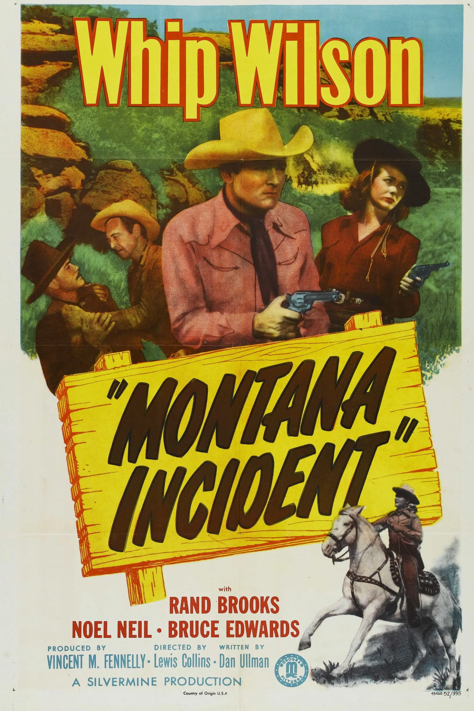 Montana Incident poster